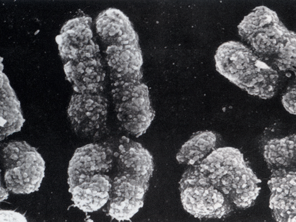 black and white dna print